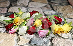 Beautiful colorful heads of different roses are lying on a stony wall