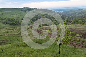 Beautiful colorful hills covered forest in fog. Winding dirt road winds through the green hills. Ukrainian nature. Surroundings of