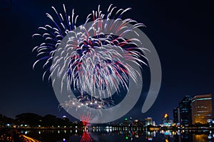 Beautiful colorful holiday fireworks on the black sky background