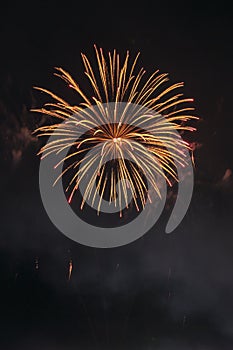 Beautiful colorful holiday fireworks on the black sky background, long exposure