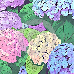 Beautiful colorful hydrangea flowers as background, top view