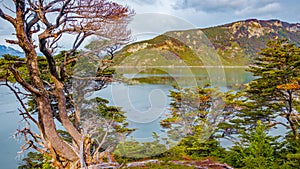 Beautiful and colorful landscape at Ensenada Zaratiegui Bay in Tierra del Fuego National Park, near Ushuaia and Beagle Channel,