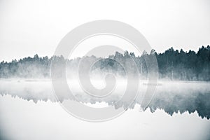 A beautiful, colorful landscape of a misty swamp during the sunrise. Atmospheric, tranquil wetland scenery with sun