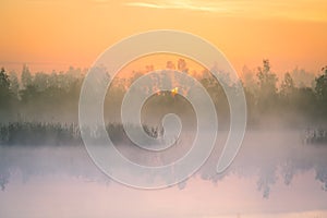 A beautiful, colorful landscape of a misty swamp during the sunrise. Atmospheric, tranquil wetland scenery with sun