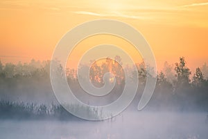 A beautiful, colorful landscape of a misty swamp during the sunrise. Atmospheric, tranquil wetland scenery with sun