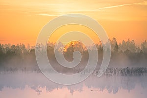 A beautiful, colorful landscape of a misty swamp during the sunrise. Atmospheric, tranquil wetland scenery with sun