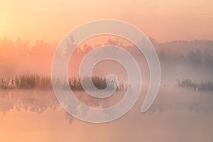 A beautiful, colorful landscape of a misty swamp during the sunrise. Atmospheric, tranquil wetland scenery with sun