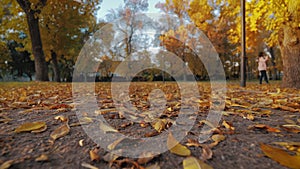 Beautiful colorful leaves lies on the road in the autumn park. Bench in autumn park.