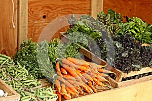 Beautiful Colorful Organic Fresh Vegetables at Local Farmstand Market