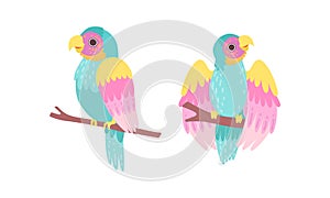 Beautiful Colorful Parrots Sitting on Tree Brunch Set, Exotic Tropical Birds Cartoon Vector Illustration