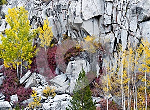 Beautiful colorful shot of a stone cliff with yellow, green and red trees