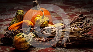 Beautiful and colorful squash, bumpy gourds, flint corn, and a pumpkin lie on a table during autumn.