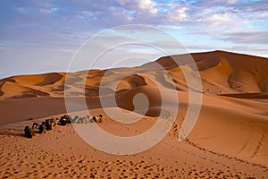 Beautiful colorful sunset in Erg Chebbi Dunes, Sahara Desert, Merzouga, Morocco