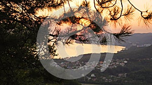 Beautiful colorful sunset over the black sea and mountains through the pine tree from the height. Agoy, Tuapse region, Russia.