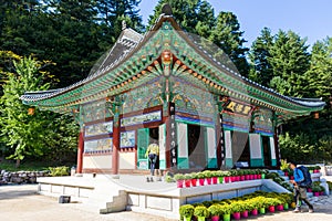 A beautiful colorful temple decorated with vivid plant pots.