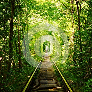 Beautiful colorful tree alley in forest, natural background. Magic Tunnel of Love, green trees and the railroad, in Ukraine.