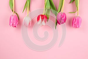 Beautiful colorful tulips against light pink background with copy space for text. Design for greeting card - Mother's