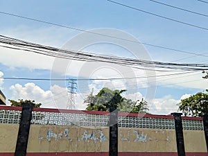 beautiful colorful wall fence with roster. behind it is a green trees and a electric pole. dangling black electrical cables