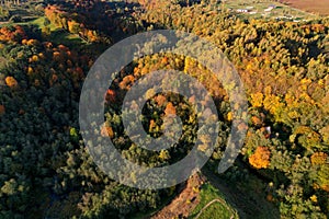 Beautiful colors of autumn. Forest with a river photographed with a drone on sunny day.