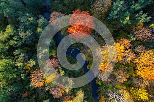 Beautiful colors of autumn. Forest and river photographed with a drone on sunny day.