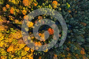 Beautiful colors of autumn. Forest and river photographed with a drone on sunny day.