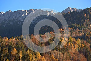 Colorful autumn mood in Planken in Liechtenstein 11.11.2020 photo