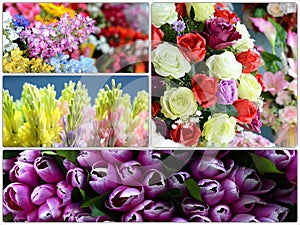 Beautiful colors of plastic flowers collection