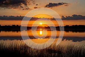 Beautiful colors of a tranquil sunset with reeds in rural Minnesota, USA