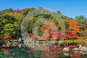 Beautiful colour leaves and reflection in the pond at Tenryuji temple.