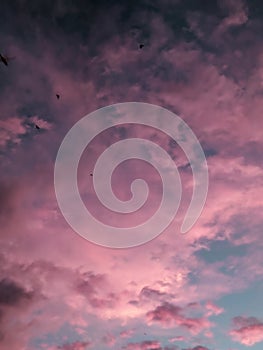 Beautiful colour from sky