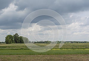 Beautiful colourful agriculture field under the dark cloudy sky during summer season