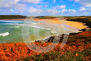 Beautiful colourful autumn colours English beach and coast Crantock Cornwall