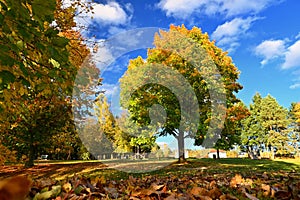 Beautiful colourful autumn landscape in the Czech Republic. Colorful trees in nature in autumn season. Seasonal concept for