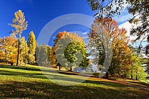 Beautiful colourful autumn landscape in the Czech Republic. Colorful trees in nature in autumn season. Seasonal concept for