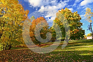 Beautiful colourful autumn landscape in the Czech Republic. Colorful trees in nature in autumn season. Seasonal concept for