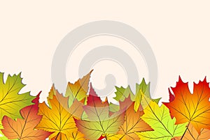 Beautiful colourful autumn leaves, back to school stock vector i