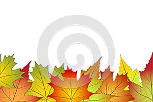 Beautiful colourful autumn leaves, back to school stock vector illustration background