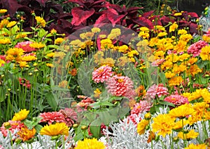 Beautiful Colourful ixed Flower Bed In Vancouver Stanley Park Perennial Garden In August 2019