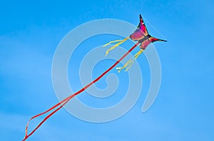 A beautiful, colourful stunt kite, in the blue sky, high up in the wind in form of a butterfly