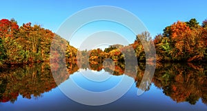 The Beautiful Colours of an Autumn River