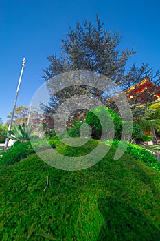 Beautiful colours of a Buddhist temple Nan Tien Temple Woolongong Sydney NSW Australia