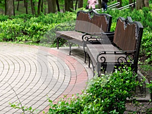 Beautiful comfortable benches in the city park