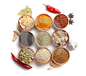 Beautiful composition with different spices on white background