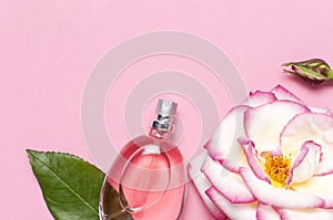 Beautiful composition with perfume and flowers. Perfume bottles, rose flowers petals green leaves on pink background top view Flat