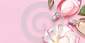 Beautiful composition with perfume and flowers. Perfume bottles, rose flowers petals green leaves on pink background top view Flat