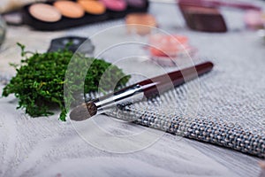 Beautiful composition: professional make-up brushes, equipment and decorative elements