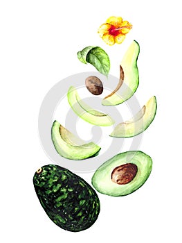 A beautiful composition of a ripe whole avocado and its pieces of different sizes decorated with a yellow tropical flower. Waterco