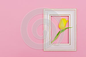 Beautiful composition with spring flowers. Photo frame, yellow tulip on pastel pink background