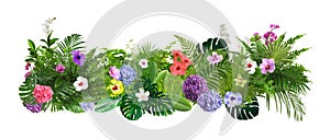 Beautiful composition with tropical leaves and flowers on white background. Banner design
