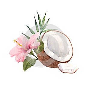 Beautiful composition with watercolor hand drawn coconut and rose hibiscus. Stock illustration.